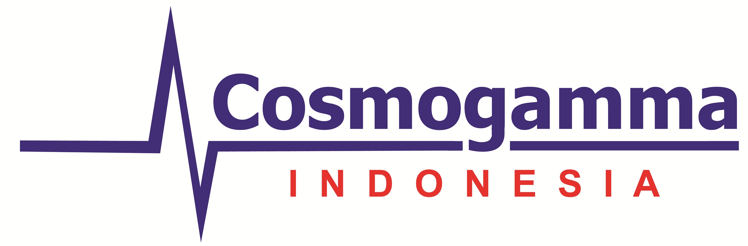 Lunch Symposium present by PT.  Cosmogamma Indonesia <br/> Rehabilitation with IVT: Restoring Limb Function Faster <br/> Witra Irfan <br/> (Indonesia)
